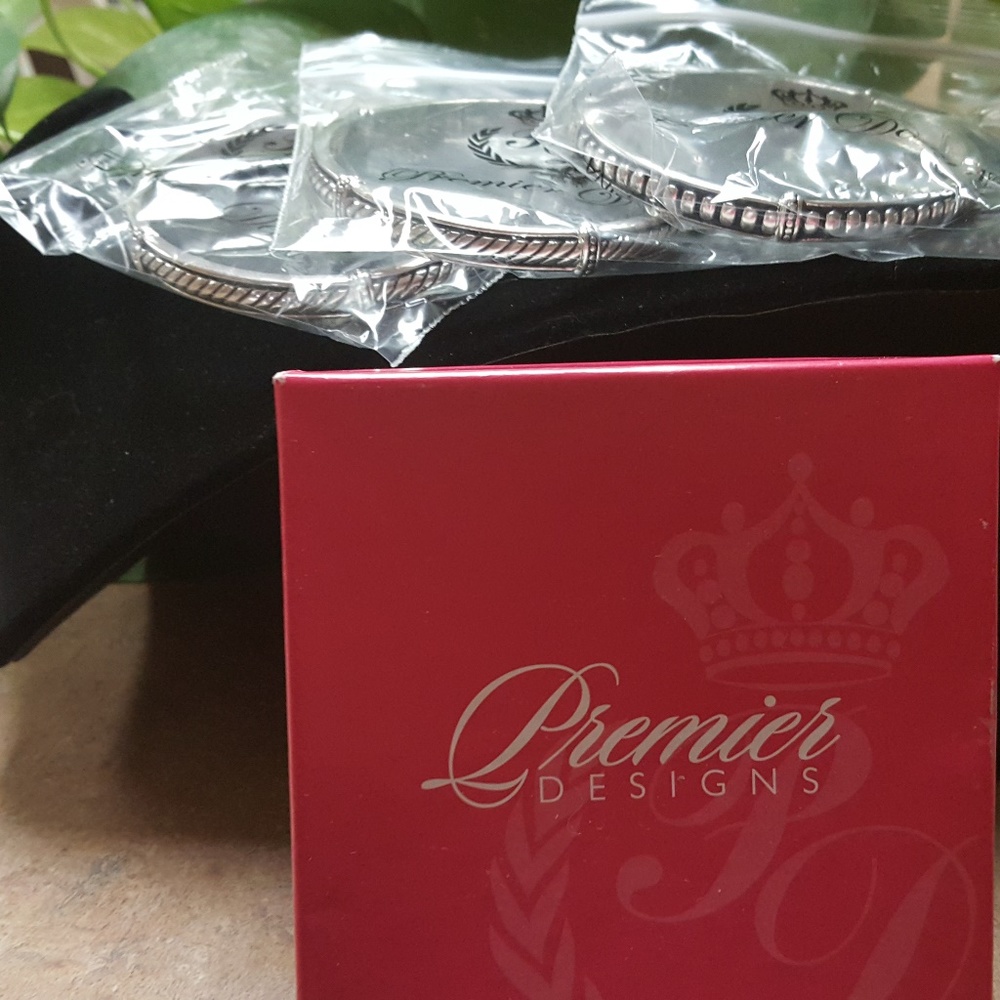 Premier Designs Bracelet Set